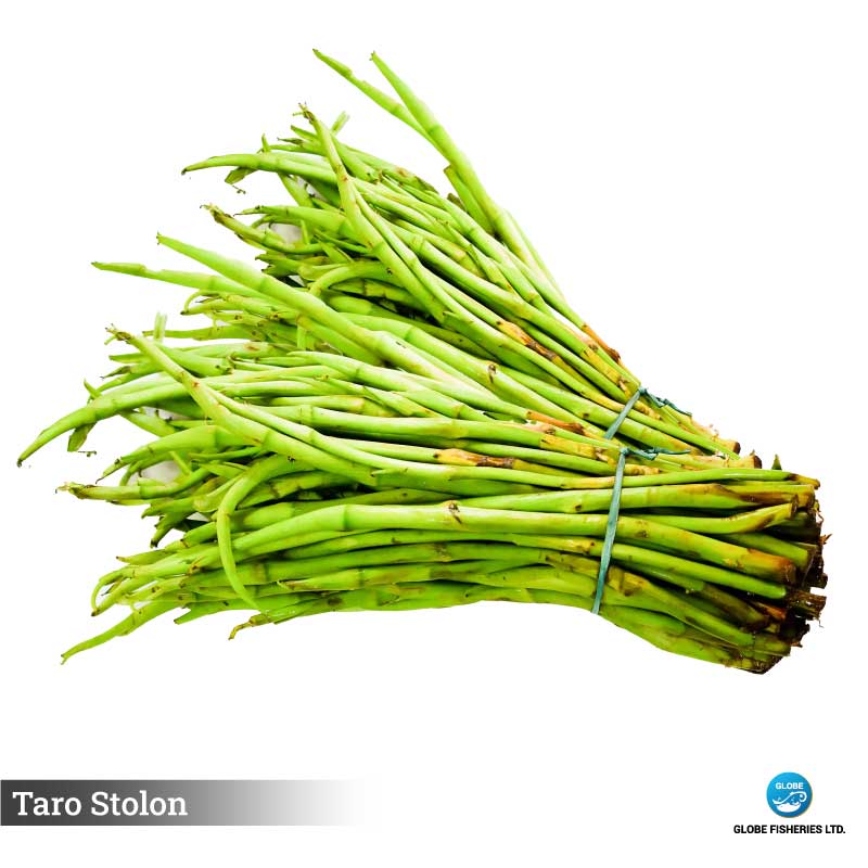 Taro Stolon