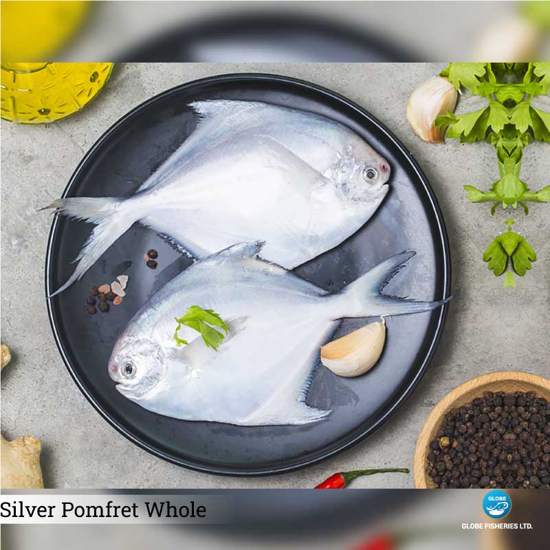 Silver Pomfret
