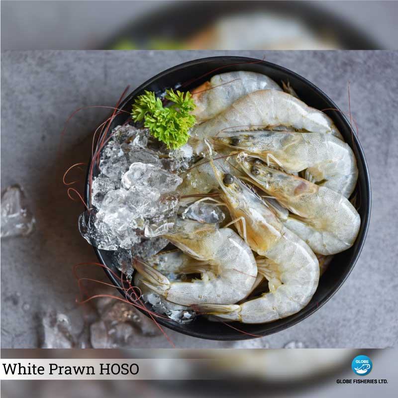White Prawn