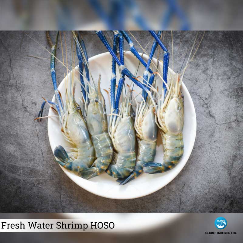 Fresh Water King Prawn