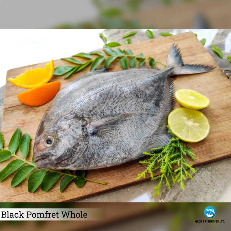 Black Pomfret
