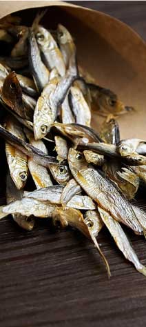 Dry Fish